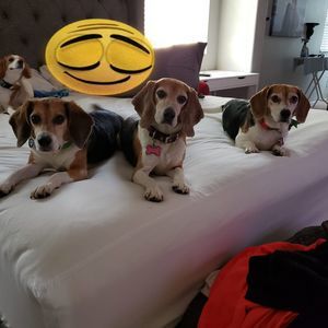 Meet your Posher, Aaron